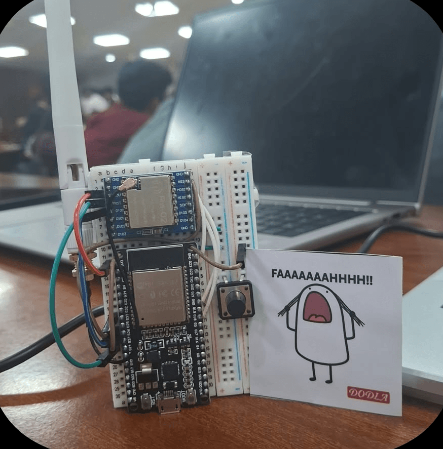 Disaster Management Mesh Network