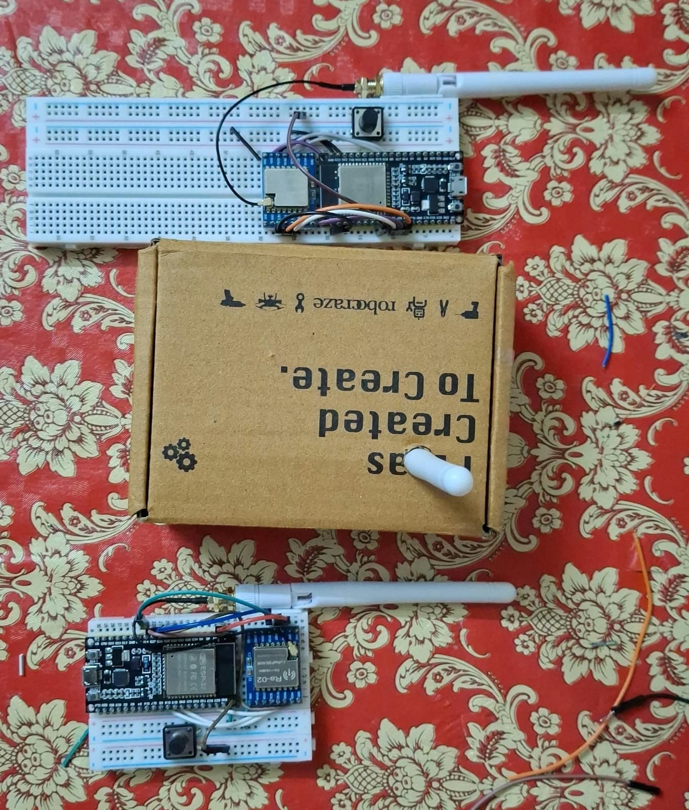 Disaster Management Mesh Network